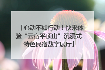 心动不如行动！快来体验“云宿平顶山”沉浸式特色民宿数字展厅