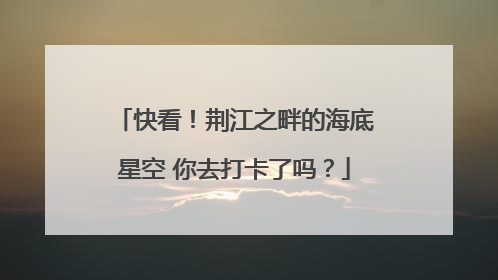 快看！荆江之畔的海底星空 你去打卡了吗？