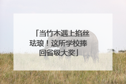 当竹木遇上掐丝珐琅！这所学校捧回省级大奖