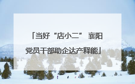 当好“店小二” 襄阳党员干部助企达产释能