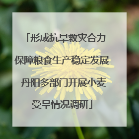 形成抗旱救灾合力 保障粮食生产稳定发展 丹阳多部门开展小麦受旱情况调研