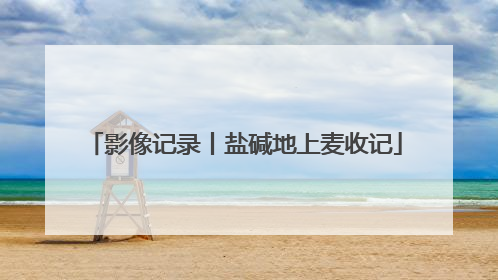 影像记录丨盐碱地上麦收记