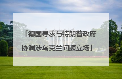 德国寻求与特朗普政府协调涉乌克兰问题立场