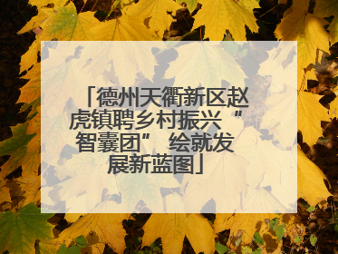 德州天衢新区赵虎镇聘乡村振兴“智囊团” 绘就发展新蓝图
