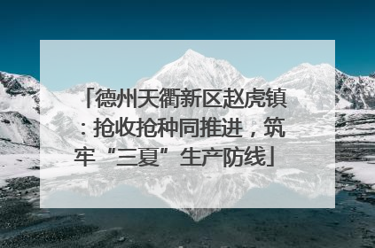 德州天衢新区赵虎镇：抢收抢种同推进，筑牢“三夏”生产防线