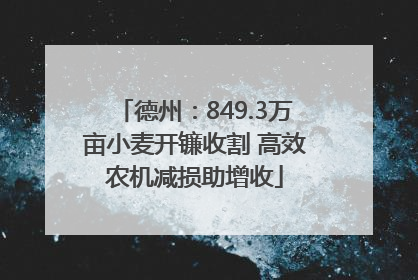 德州：849.3万亩小麦开镰收割 高效农机减损助增收