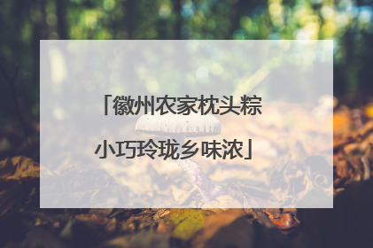 徽州农家枕头粽 小巧玲珑乡味浓