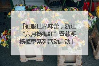 征服世界味蕾，浙江“六月杨梅红”暨慈溪杨梅季系列活动启动