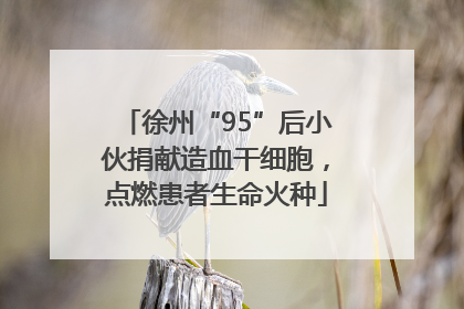 徐州“95”后小伙捐献造血干细胞，点燃患者生命火种