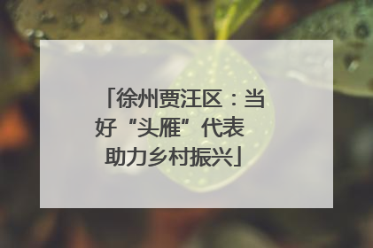 徐州贾汪区：当好“头雁”代表 助力乡村振兴