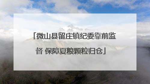 微山县留庄镇纪委靠前监督 保障夏粮颗粒归仓