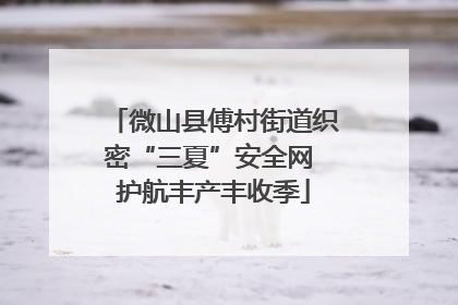 微山县傅村街道织密“三夏”安全网 护航丰产丰收季