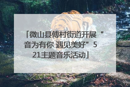 微山县傅村街道开展“音为有你 遇见美好”521主题音乐活动