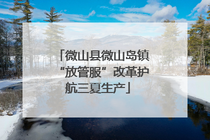 微山县微山岛镇“放管服”改革护航三夏生产