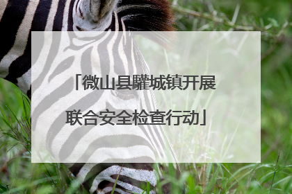 微山县驩城镇开展联合安全检查行动