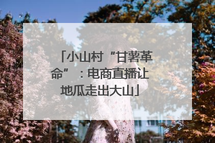 小山村“甘薯革命”：电商直播让地瓜走出大山