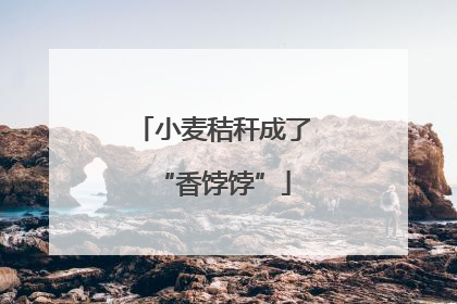 小麦秸秆成了“香饽饽”