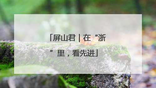 屏山君｜在“浙”里，看先进