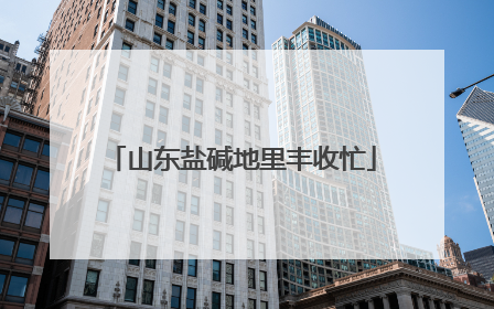 山东盐碱地里丰收忙