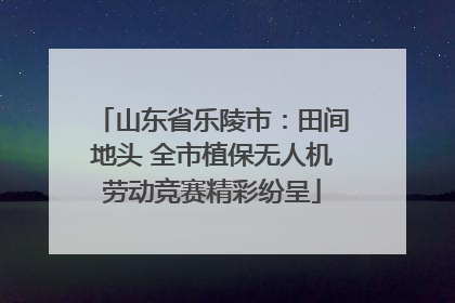 山东省乐陵市：田间地头 全市植保无人机劳动竞赛精彩纷呈