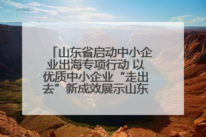 山东省启动中小企业出海专项行动 以优质中小企业“走出去”新成效展示山东产业发展新形象