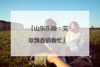 山东乐陵：艾草飘香销售忙