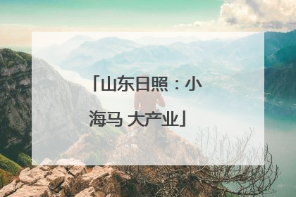 山东日照：小海马 大产业
