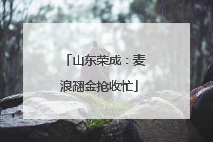 山东荣成：麦浪翻金抢收忙