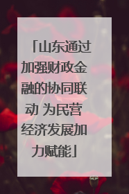 山东通过加强财政金融的协同联动 为民营经济发展加力赋能