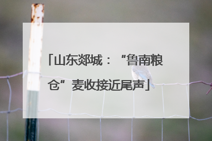 山东郯城：“鲁南粮仓”麦收接近尾声