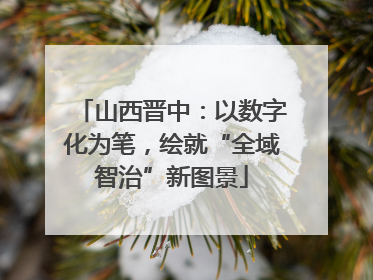 山西晋中：以数字化为笔，绘就“全域智治”新图景