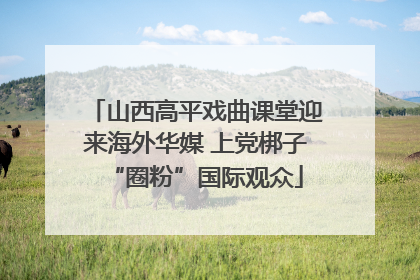 山西高平戏曲课堂迎来海外华媒 上党梆子“圈粉”国际观众