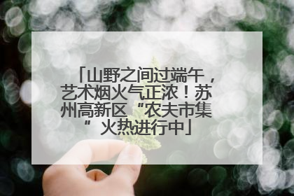 山野之间过端午，艺术烟火气正浓！苏州高新区“农夫市集”火热进行中