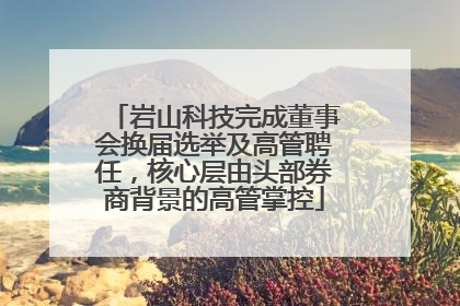 岩山科技完成董事会换届选举及高管聘任，核心层由头部券商背景的高管掌控