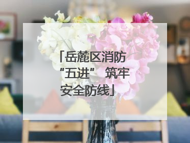 岳麓区消防 “五进” 筑牢安全防线