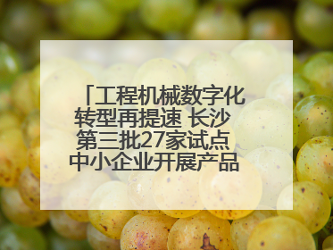工程机械数字化转型再提速 长沙第三批27家试点中小企业开展产品供需对接