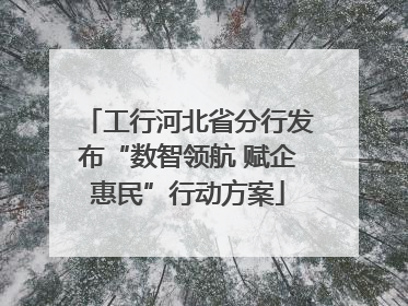 工行河北省分行发布“数智领航 赋企惠民”行动方案