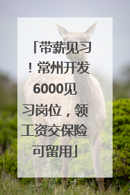 带薪见习！常州开发6000见习岗位，领工资交保险可留用
