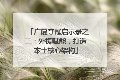 广厦夺冠启示录之二：外援赋能，打造本土核心架构