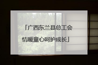 广西东兰县总工会情暖童心呵护成长