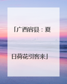 广西容县：夏日荷花引客来