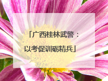 广西桂林武警：以考促训砺精兵