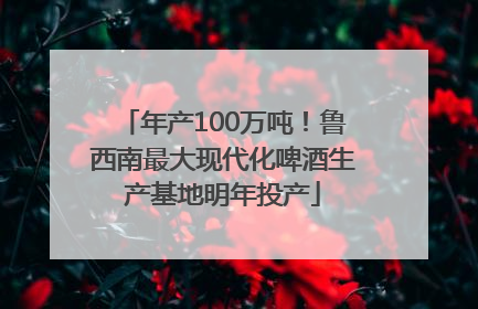 年产100万吨！鲁西南最大现代化啤酒生产基地明年投产