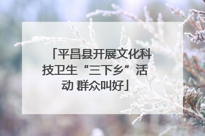 平昌县开展文化科技卫生“三下乡”活动 群众叫好