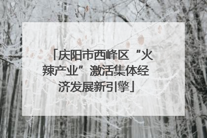 庆阳市西峰区“火辣产业”激活集体经济发展新引擎