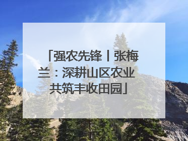 强农先锋丨张梅兰：深耕山区农业 共筑丰收田园