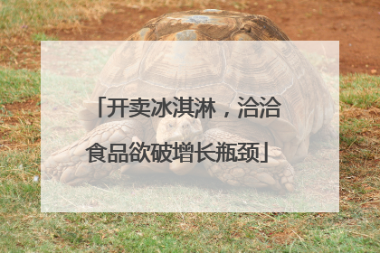 开卖冰淇淋，洽洽食品欲破增长瓶颈