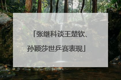张继科谈王楚钦、孙颖莎世乒赛表现