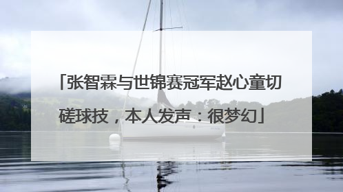 张智霖与世锦赛冠军赵心童切磋球技，本人发声：很梦幻