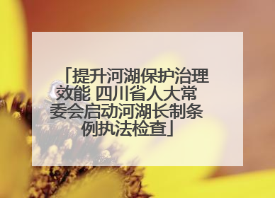 提升河湖保护治理效能 四川省人大常委会启动河湖长制条例执法检查